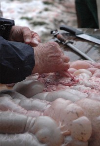 lavorazione del maiale
